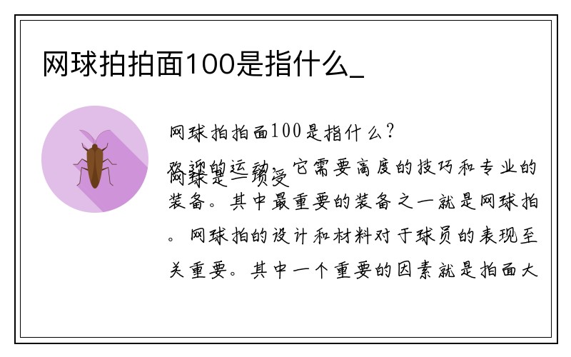 网球拍拍面100是指什么_